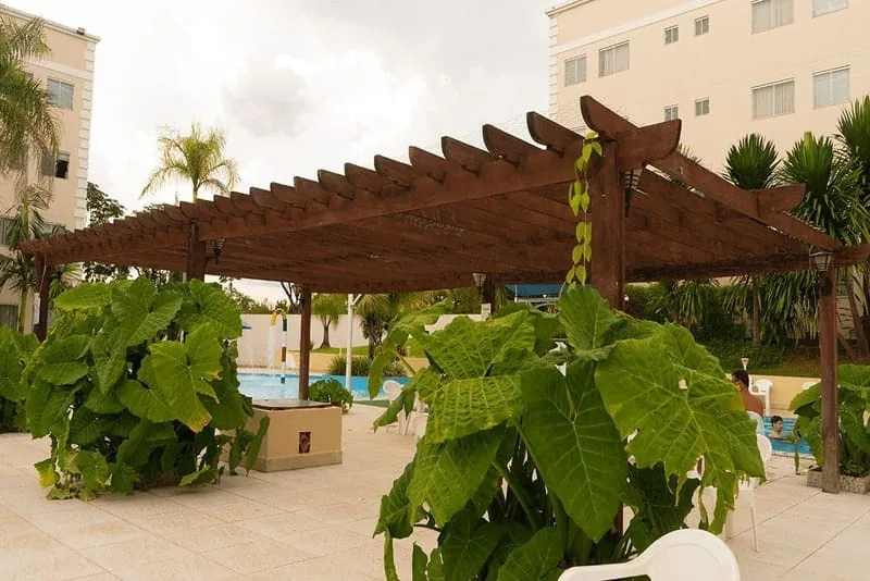 Piscina com palmeiras