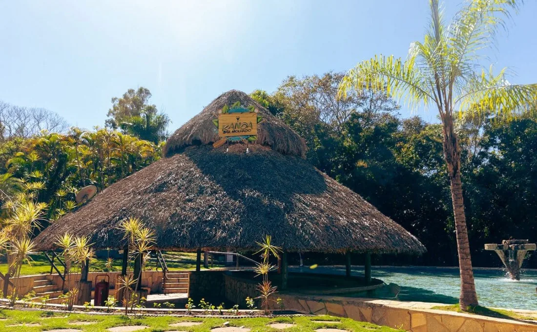 Piscina com palmeiras