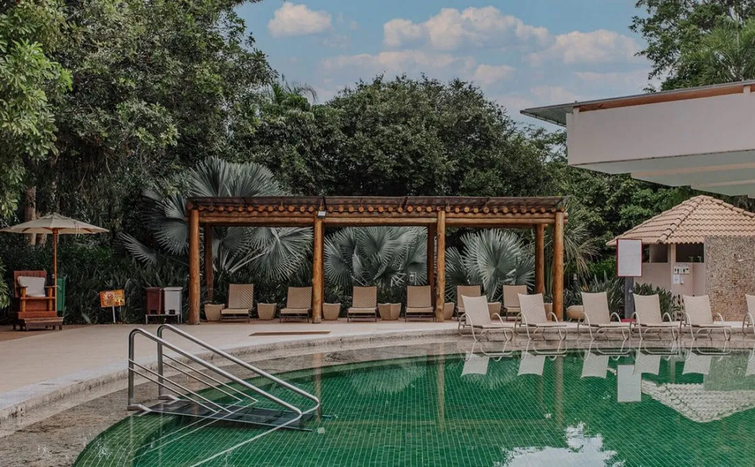 Piscina com palmeiras